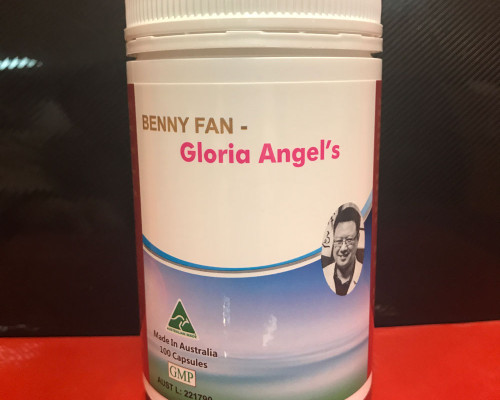 康丽天使-Gloria-Angel’s